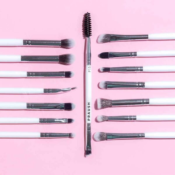 Praush Beauty 15 Pcs Professional Eye Blending Brush Set - Praush Beauty
