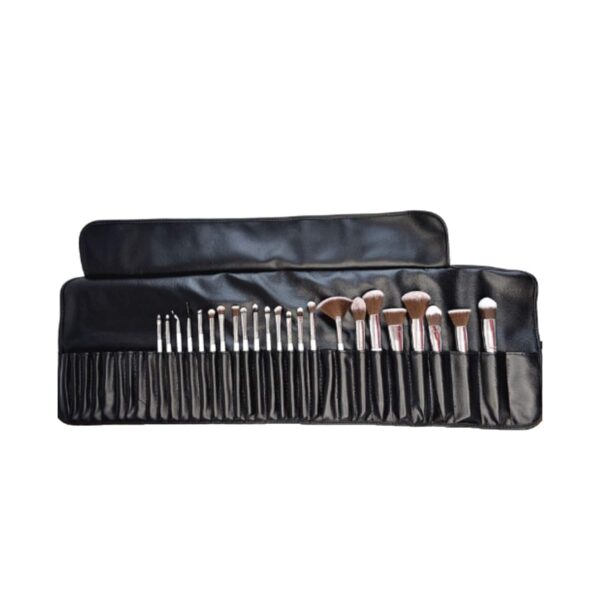 Praush Beauty 24 Pcs Professional Makeup Brush Set with Roll On Bag - Praush Beauty