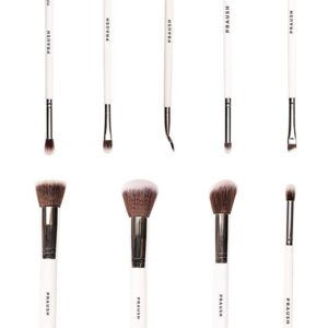 Praush Beauty 9 Pcs Professional Makeup Brush Set For Face & Eyes With Makeup Pouch - Praush Beauty