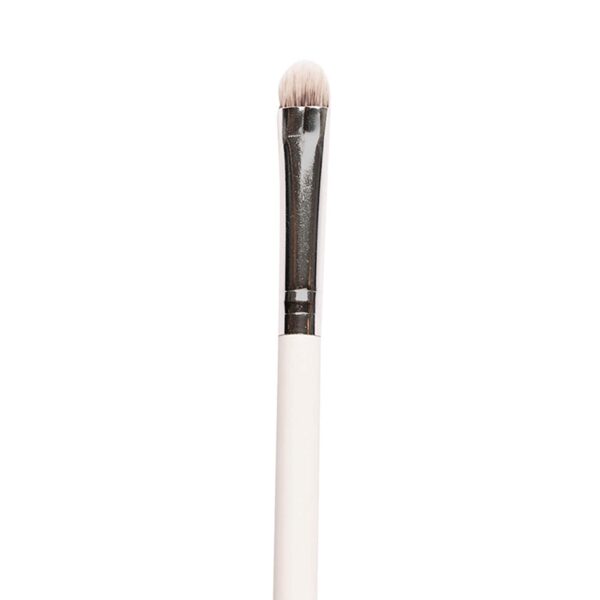 Praush Beauty Dense Dome Eyeshadow Application Brush - P17 (1Pc) - Praush Beauty
