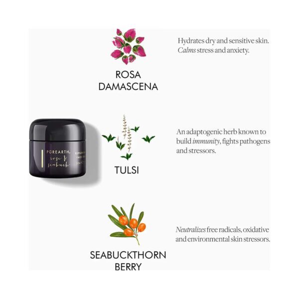 Purearth Rose & Seabuck Replenishing Face Cream (50ml) - Purearth