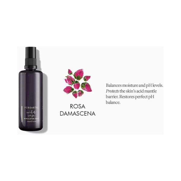 Purearth Wild Rose Himalayan Mist (100ml) - Purearth