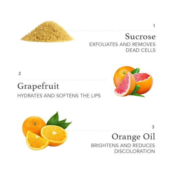 Ras Luxury Skincare Lush Lips Conditioning & Brightening Lip Scrub - (8 g) - Ras Luxury Skincare