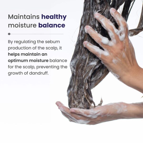Re'equil Dandruff Control Shampoo (250ml) - Re'equil