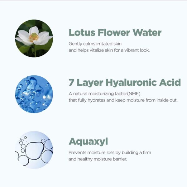 Rovectin Lotus Water Calming Toner (200ml) - Rovectin
