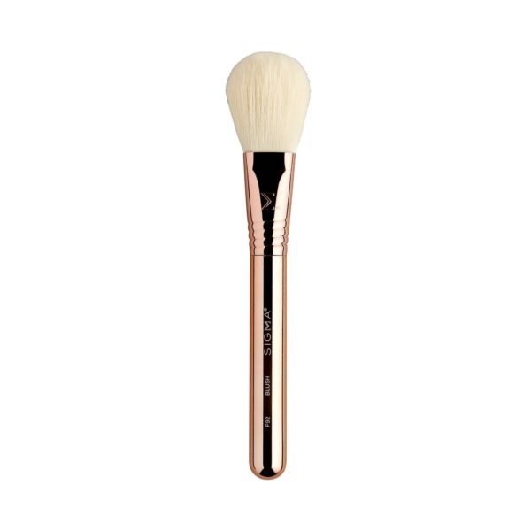Sigma Beauty Bloom + Glow Brush Set - Sigma Beauty