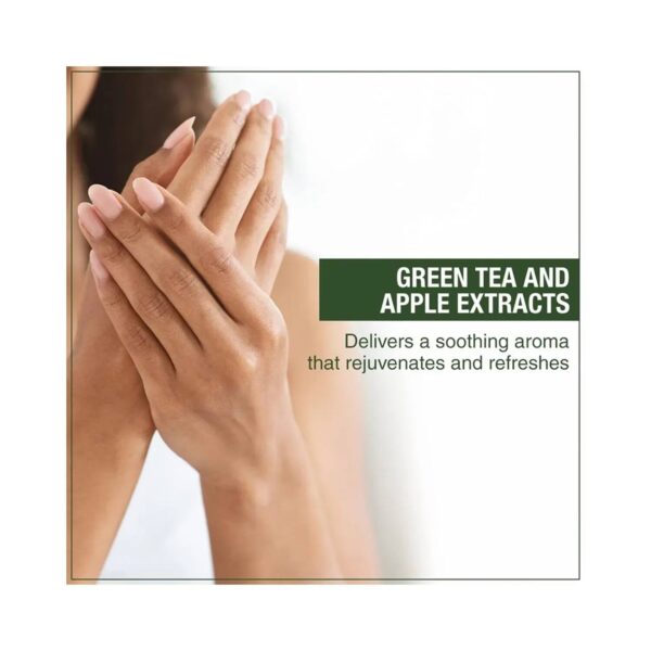 SKIN COTTAGE Green Tea And Apple Hand Wash (500ml) - SKIN COTTAGE