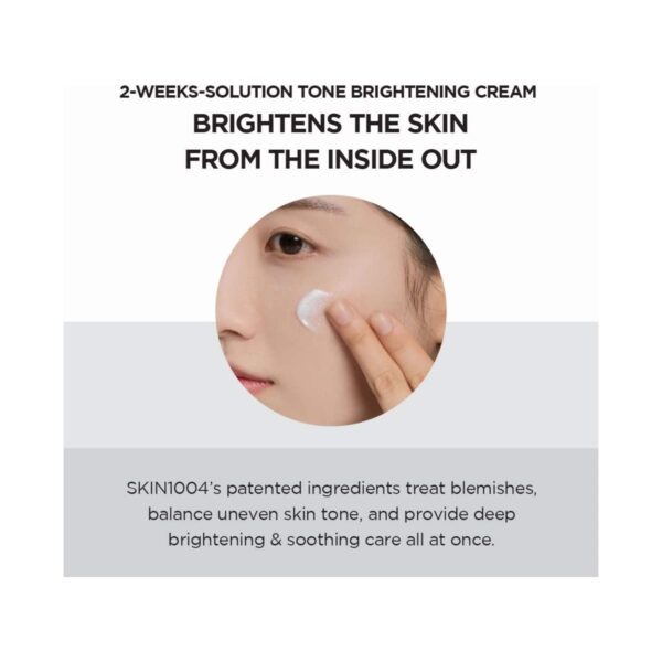 SKIN1004 Madagascar Centella Tone Brightening Capsule Face Cream (75ml) - SKIN1004