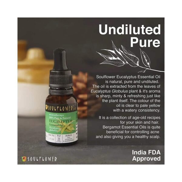 Soulflower Eucalyptus Essential Oil - (15ml) - Soulflower