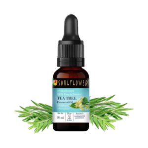 Soulflower Teatree Essential Oil (15ml) - Soulflower