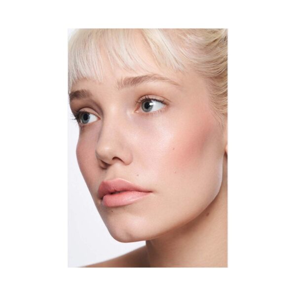 Stila Cosmetics Complete Harmony Lip & Cheek Stick - Sheer Gerbera (6 g) - Stila Cosmetics