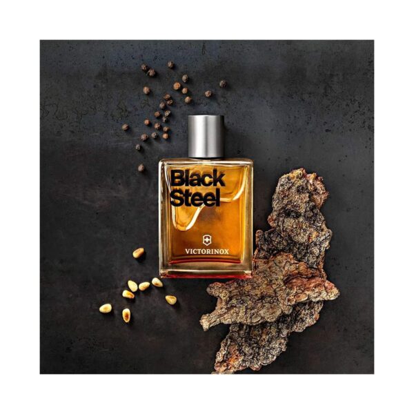 Swiss Army Black Steel Eau De Toilette (100ml) - Swiss Army