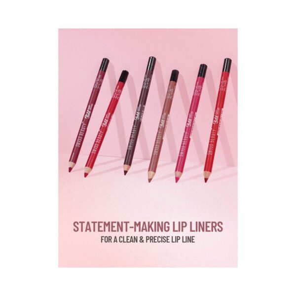 Swiss Beauty Bold Matt Lip Liner - Bobby (1.6 g) - Swiss Beauty