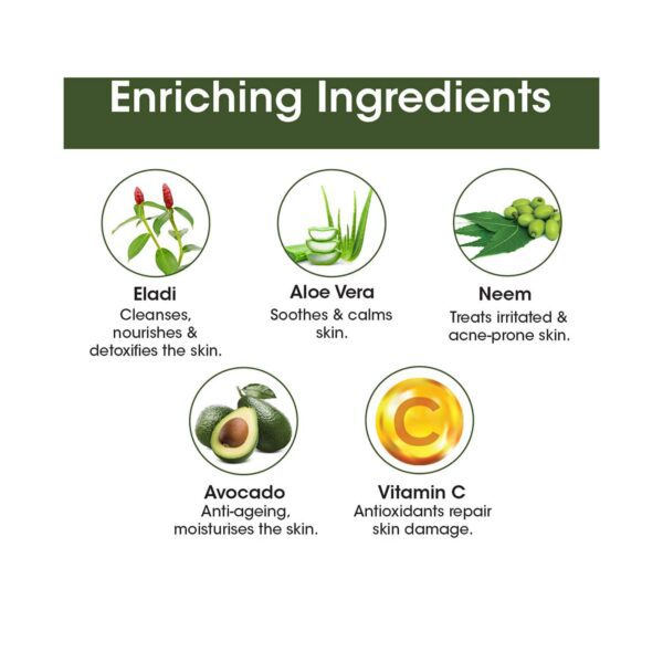 TAC - The Ayurveda Co. Eladi Sunscreen SPF 50 (50 g) - TAC - The Ayurveda Co.
