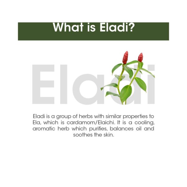 TAC - The Ayurveda Co. Eladi Sunscreen SPF 50 (50 g) - TAC - The Ayurveda Co.