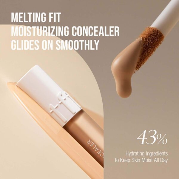 TFIT Idol Cover Concealer - P01 Petal Beige (6.5 g) - TFIT