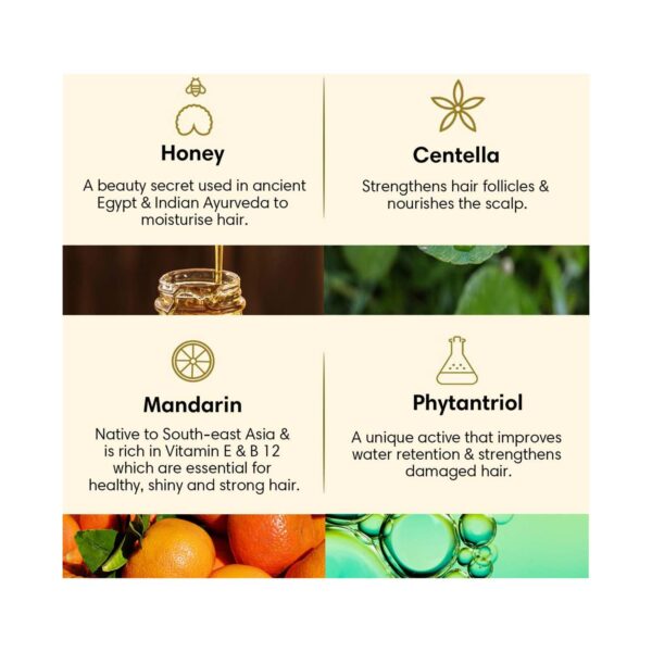 The Earth Collective Hair Conditioner For Dry & Damaged Hair (200 ml) - The Earth Collective
