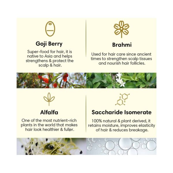 The Earth Collective Hair Conditioner For Nourishing (200 ml) - The Earth Collective