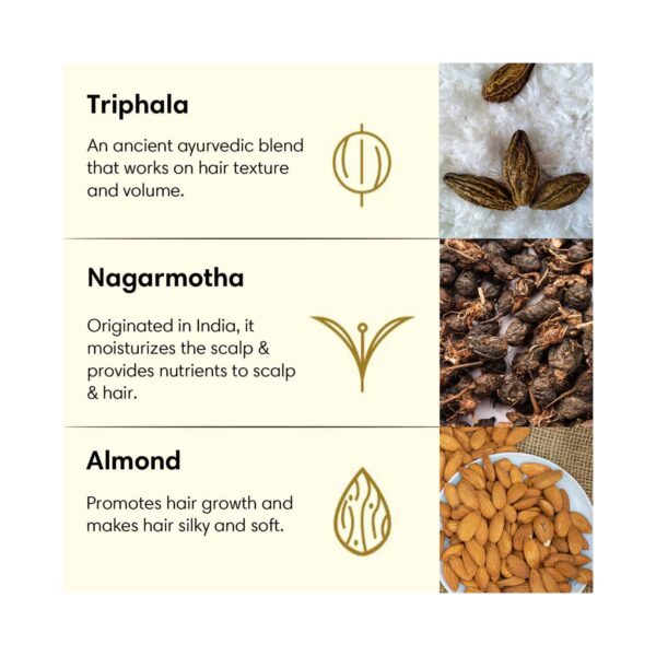 The Earth Collective Hair Oil - Almond Oil Plus (200 ml) - The Earth Collective