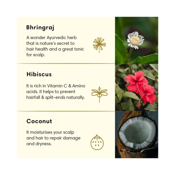 The Earth Collective Hair Oil - Coconut Oil Plus (200 ml) - The Earth Collective