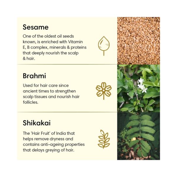 The Earth Collective Hair Oil - Shikakai Oil Plus (200 ml) - The Earth Collective