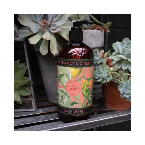 The English Soap Company Royal Botanic Gardens Kew Bergamot & Ginger Hand Wash (500ml) - The English Soap Company