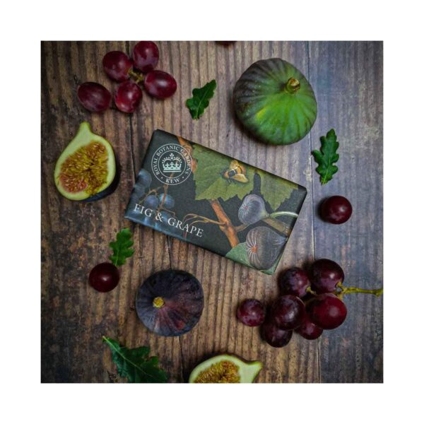 The English Soap Company Royal Botanic Gardens Kew Fig & Grape Soap (240g) - The English Soap Company