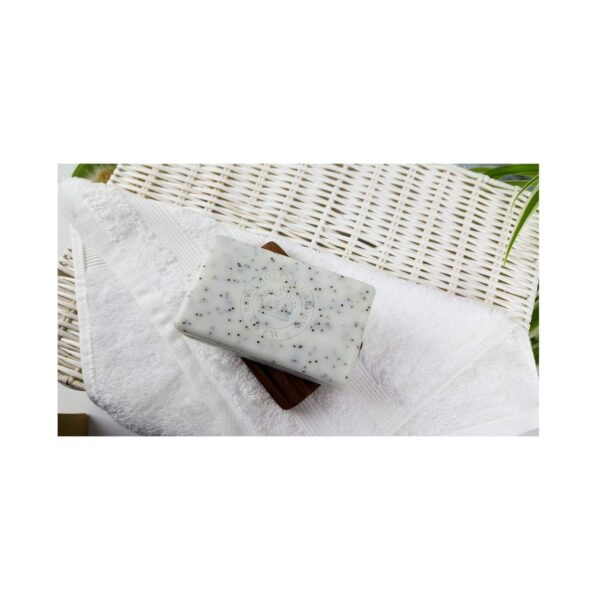 The English Soap Company Royal Botanic Gardens Kew Lemongrass & Lime Soap (240g) - The English Soap Company