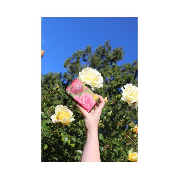 The English Soap Company Royal Botanic Gardens Kew Summer Rose Soap (240g) - The English Soap Company