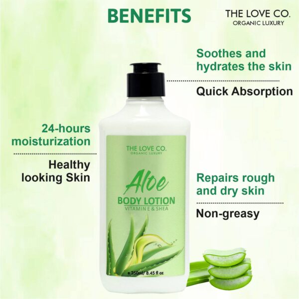 THE LOVE CO. Aloe Vera Body Lotion (250ml) - THE LOVE CO.
