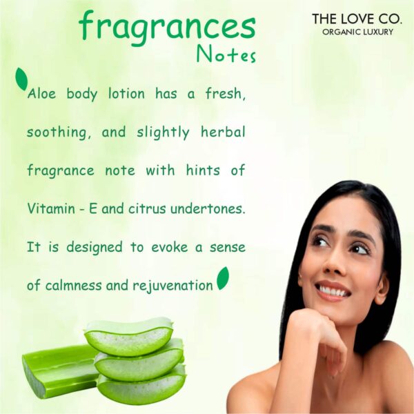 THE LOVE CO. Aloe Vera Body Lotion (250ml) - THE LOVE CO.
