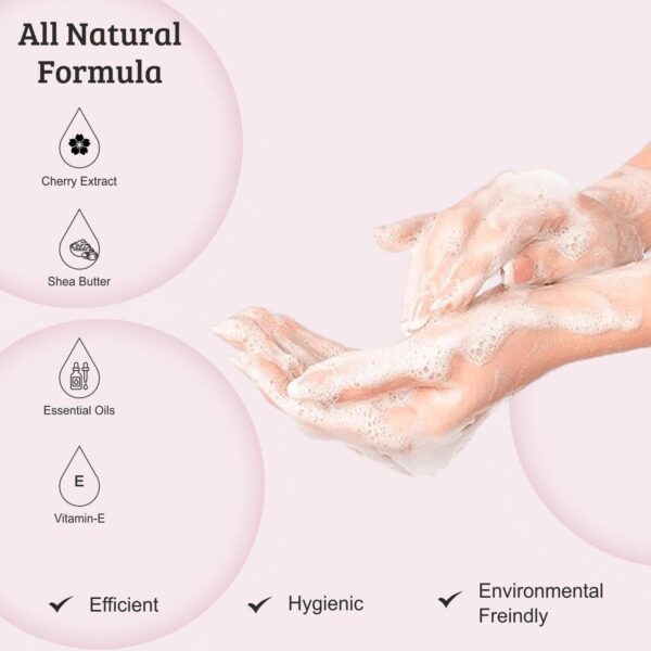 THE LOVE CO. Japanese Cherry Blossom Hand Soap For Moisturized Hands (250ml) - THE LOVE CO.