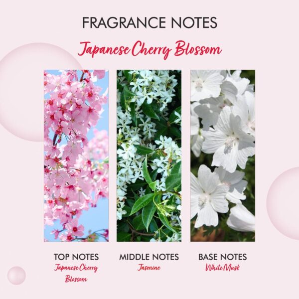 THE LOVE CO. Japanese Cherry Blossom Hand Soap For Moisturized Hands (250ml) - THE LOVE CO.