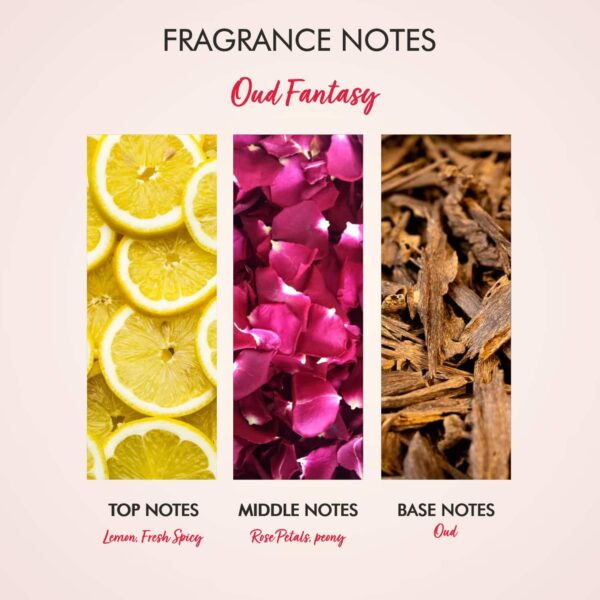 THE LOVE CO. Oud Fantasy Body Lotion Daily Skin Moisture (250ml) - THE LOVE CO.