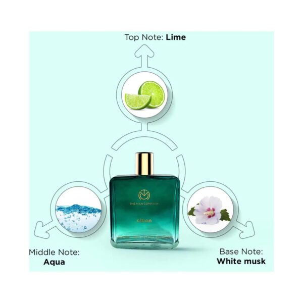 The Man Company Scent-sational Gift for Him - (3 x 100 ml) Combo - The Man Company