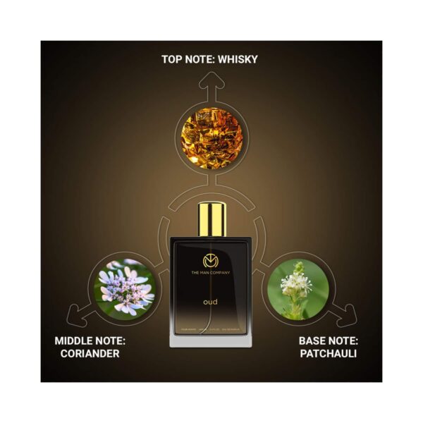 The Man Company Specially Curated Perfume Gift for Him - (3 x 100 ml) Combo - The Man Company