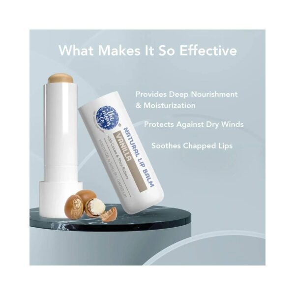 the moms co. Natural Vanilla Lip Balm (5g) - the moms co.