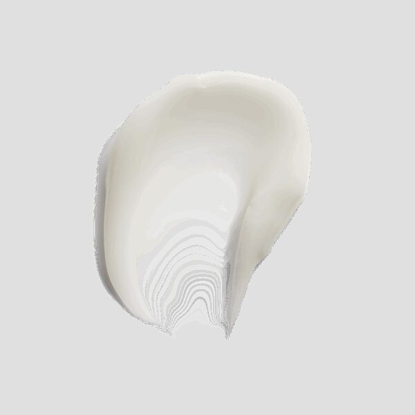 The Ordinary Squalane + Amino Acids Lip Balm (15 ml) - The Ordinary