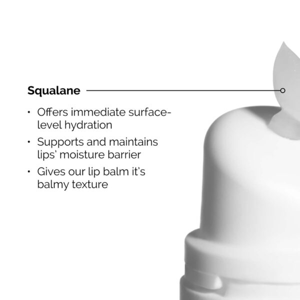 The Ordinary Squalane + Amino Acids Lip Balm (15 ml) - The Ordinary