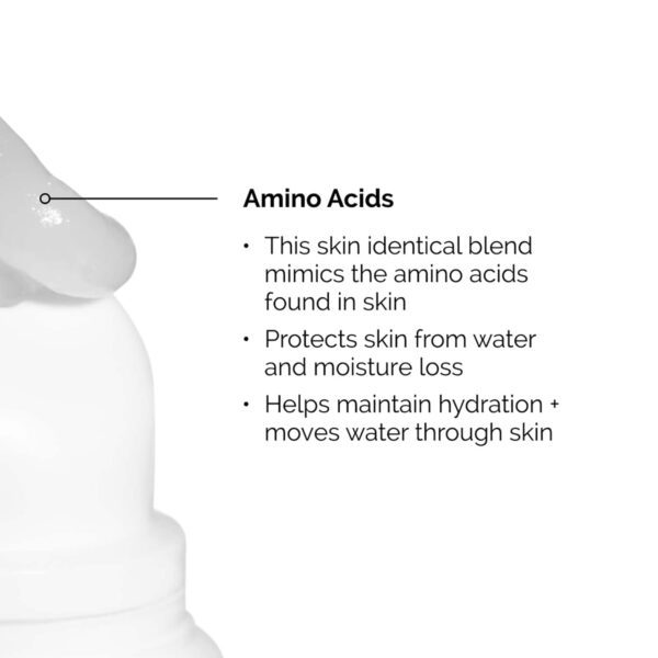 The Ordinary Squalane + Amino Acids Lip Balm (15 ml) - The Ordinary