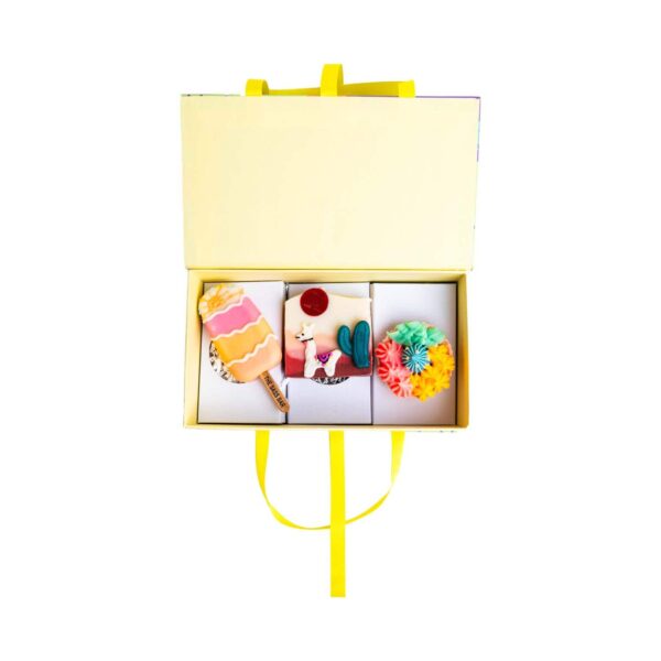 The Sass Bar Llama Desert Soap Box (3 pcs) - The Sass Bar