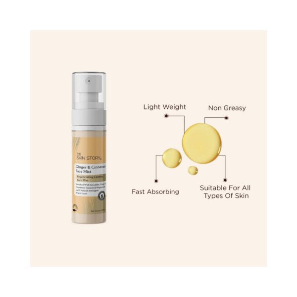 The Skin Story Ginger & Cinnamon Face Mist With Magnesium (100ml) - The Skin Story