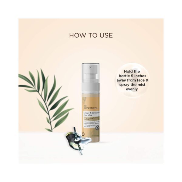 The Skin Story Ginger & Cinnamon Face Mist With Magnesium (100ml) - The Skin Story