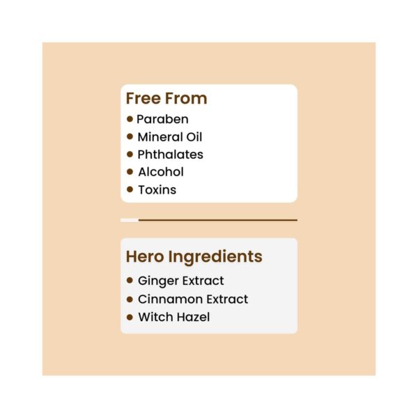The Skin Story Ginger & Cinnamon Face Mist With Magnesium (100ml) - The Skin Story