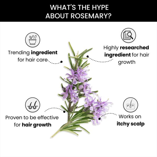 Thriveco Rosemary Essential Oil (15 ml) - Thriveco
