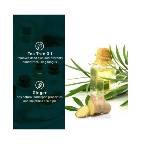 Ustraa Anti Dandruff Ginger & Tea-Tree Hair Shampoo (250ml) - Ustraa