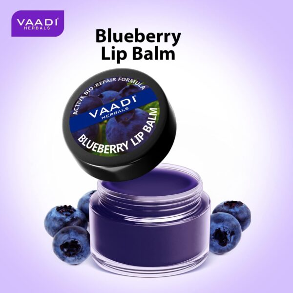 Vaadi Herbals Blueberry Lip Balm (10g) - Vaadi Herbals