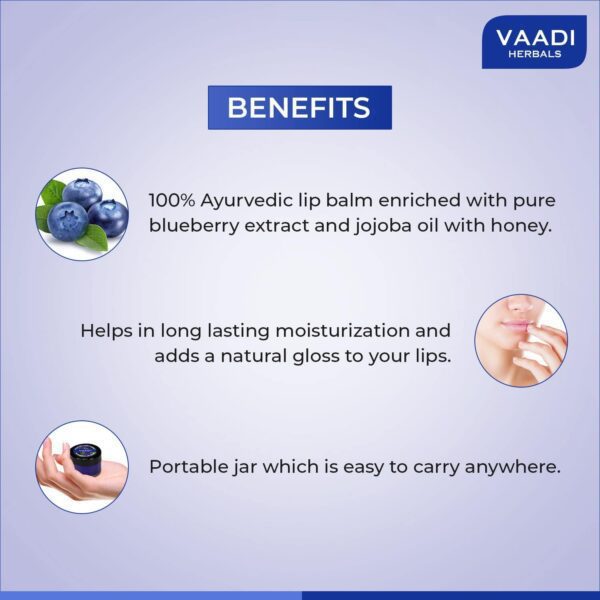 Vaadi Herbals Blueberry Lip Balm (10g) - Vaadi Herbals
