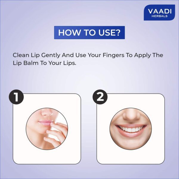 Vaadi Herbals Blueberry Lip Balm (10g) - Vaadi Herbals