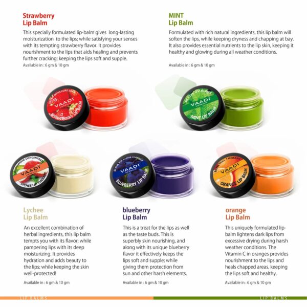 Vaadi Herbals Blueberry Lip Balm (10g) - Vaadi Herbals